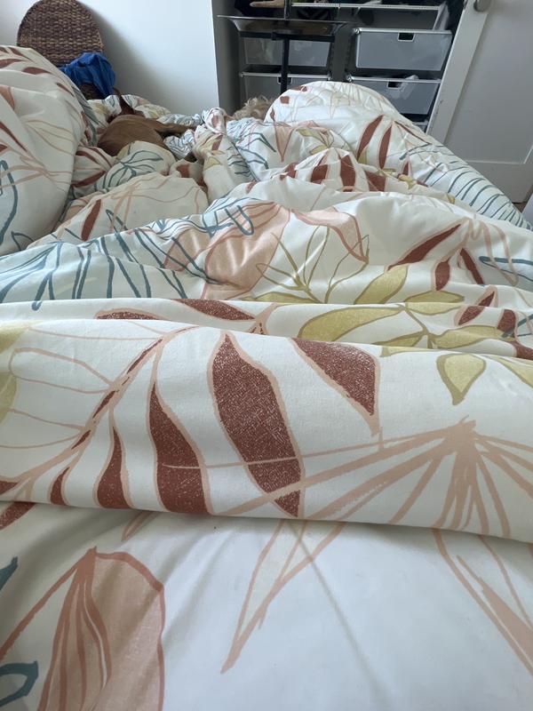 Review Thumbnail Image 0 218887515