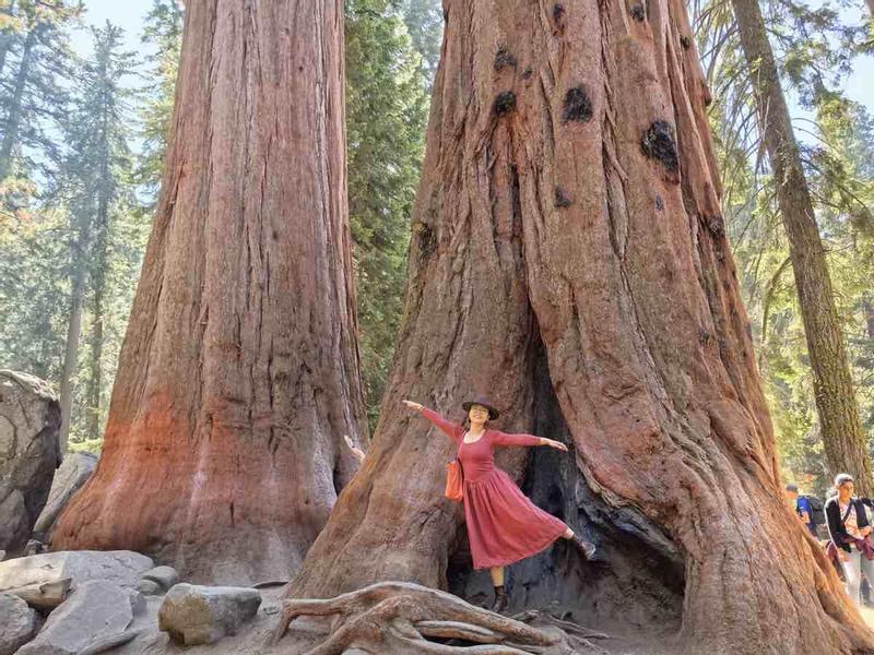 Review Thumbnail Image 0 246826611