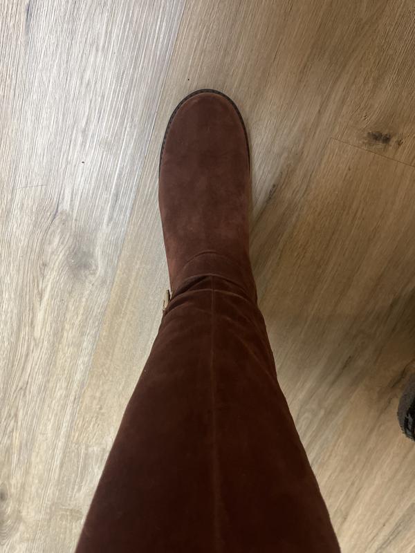 Review Thumbnail Image 2 239507819