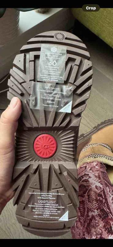 Review Thumbnail Image 0 245318407