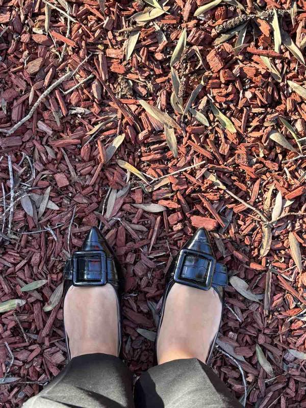 Review Thumbnail Image 0 247347622