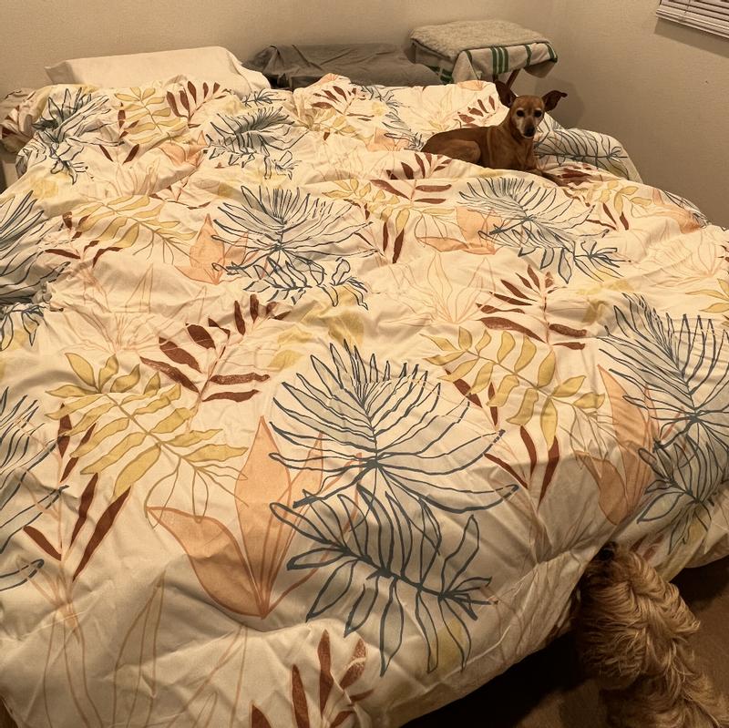 Review Thumbnail Image 1 218887515