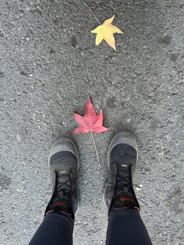 Review Thumbnail Image 0 237777907