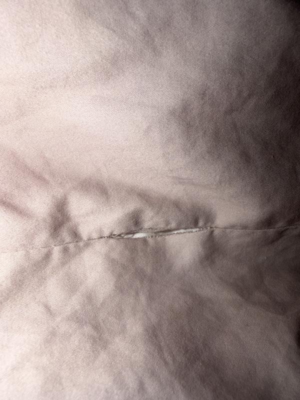 Review Thumbnail Image 0 247043717