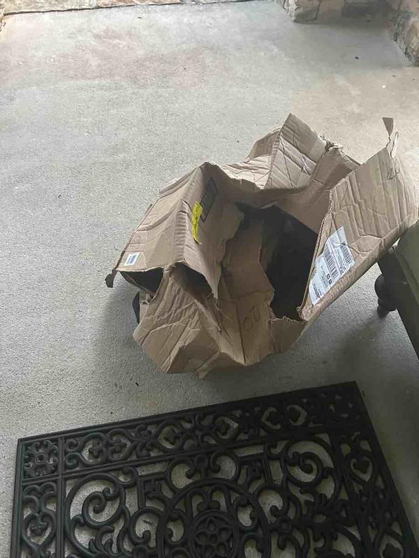 Review Thumbnail Image 0 235258939