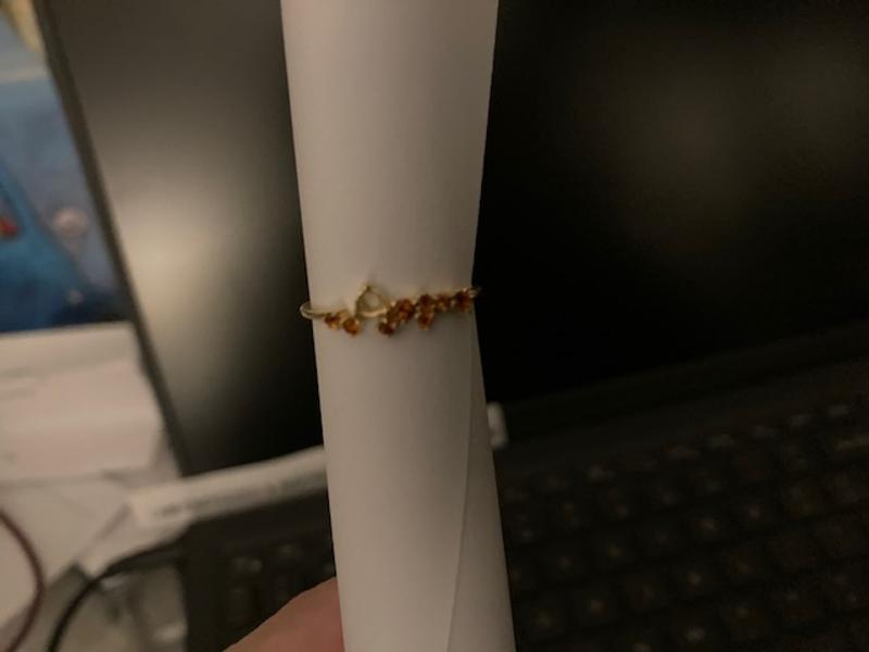 Review Thumbnail Image 0 247309181