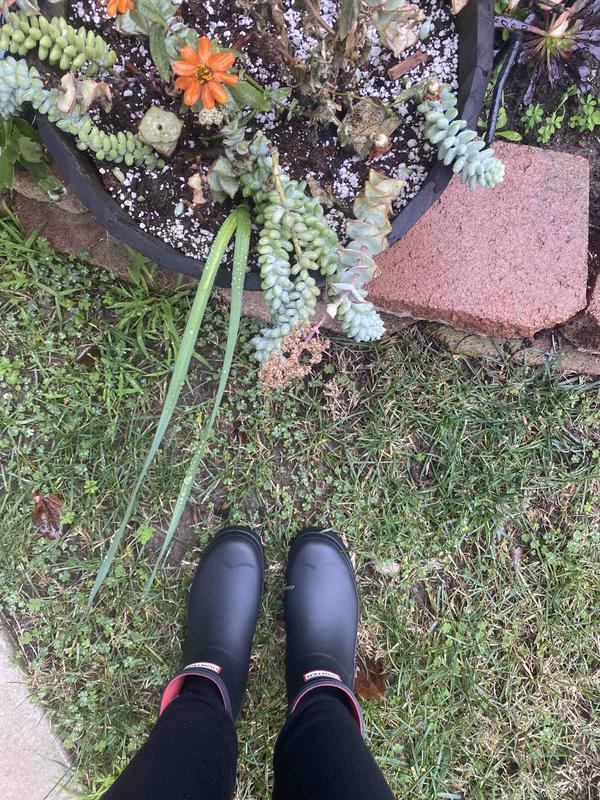 Review Thumbnail Image 1 213397320