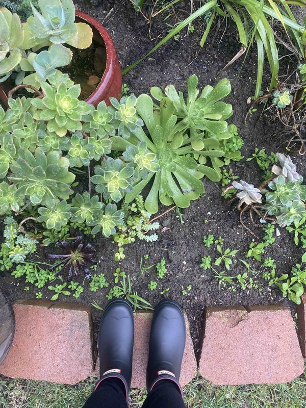 Review Thumbnail Image 0 213397320