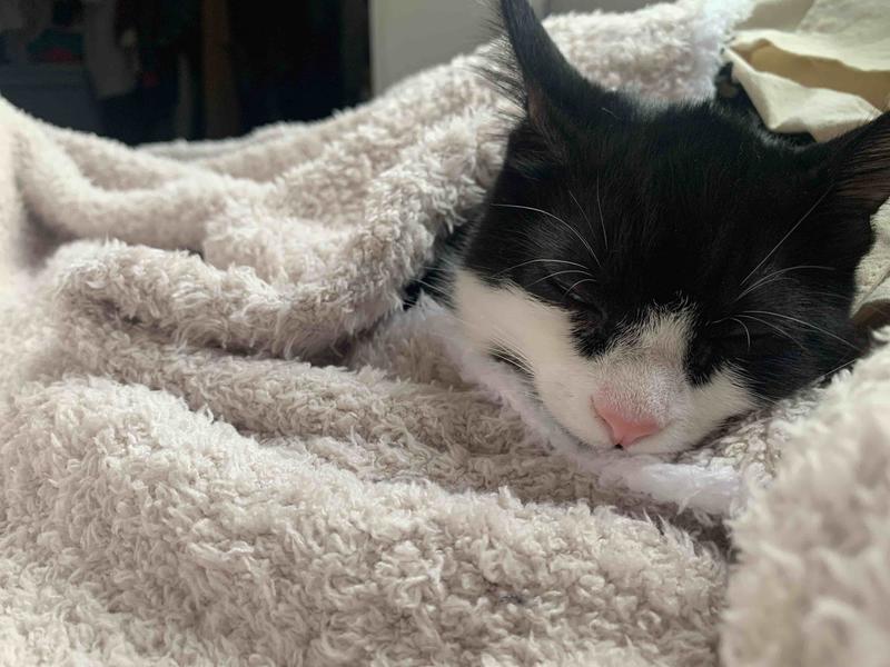 Review Thumbnail Image 0 208976871