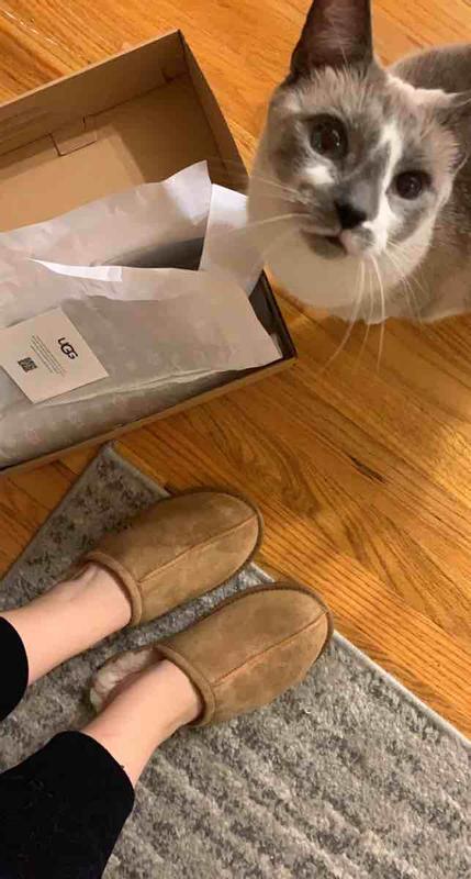 Review Thumbnail Image 0 220815043