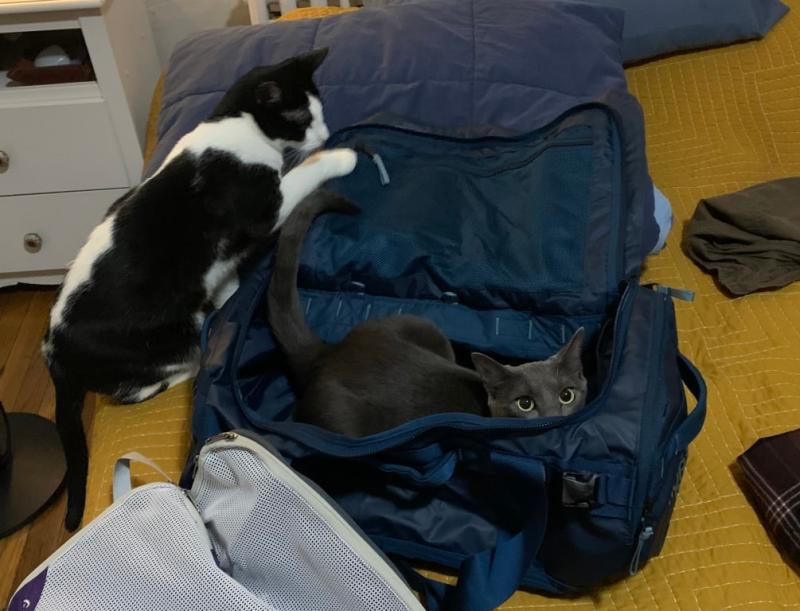 User uploaded product image