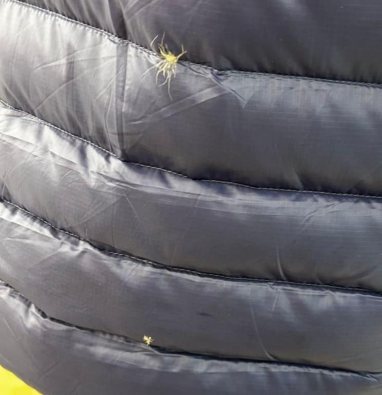 User uploaded product image