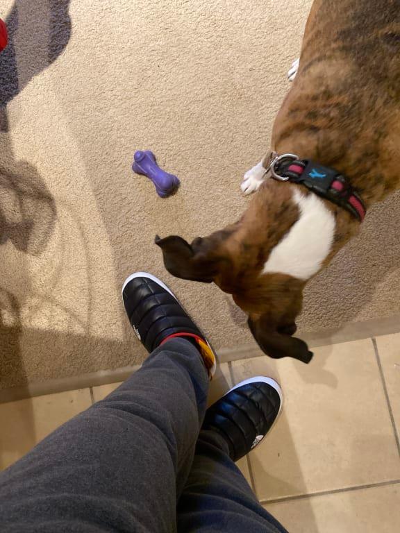 User uploaded product image