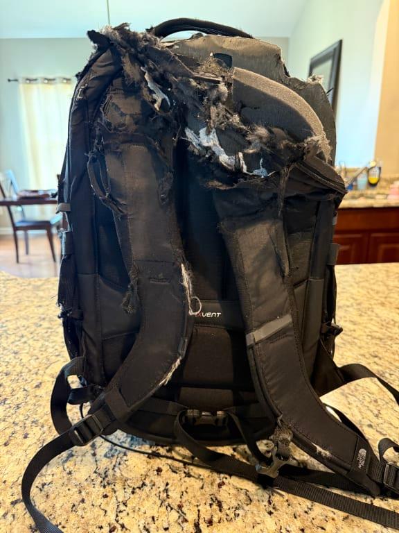 Photo submitted with review of product