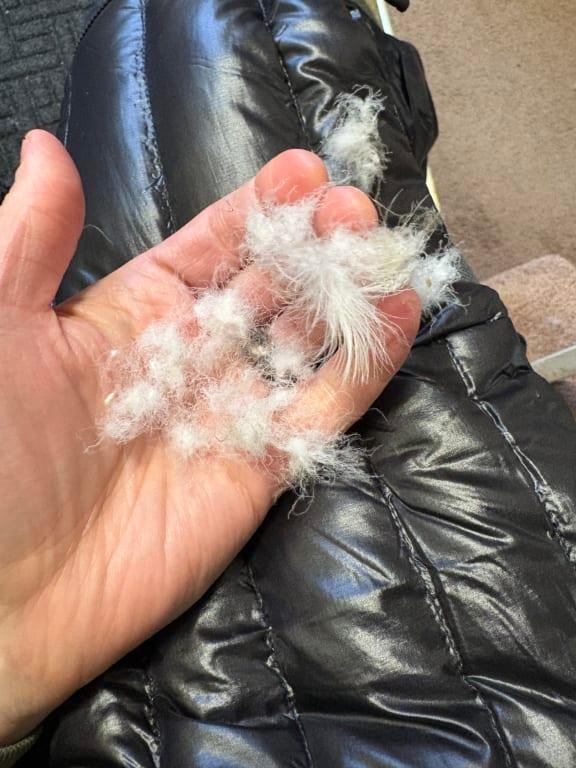 User uploaded product image