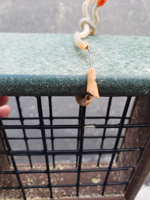 Photo submitted with review of product