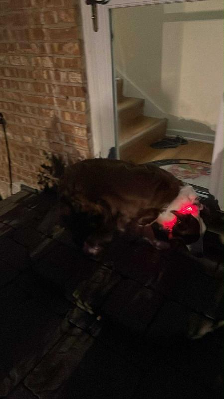 User uploaded product image