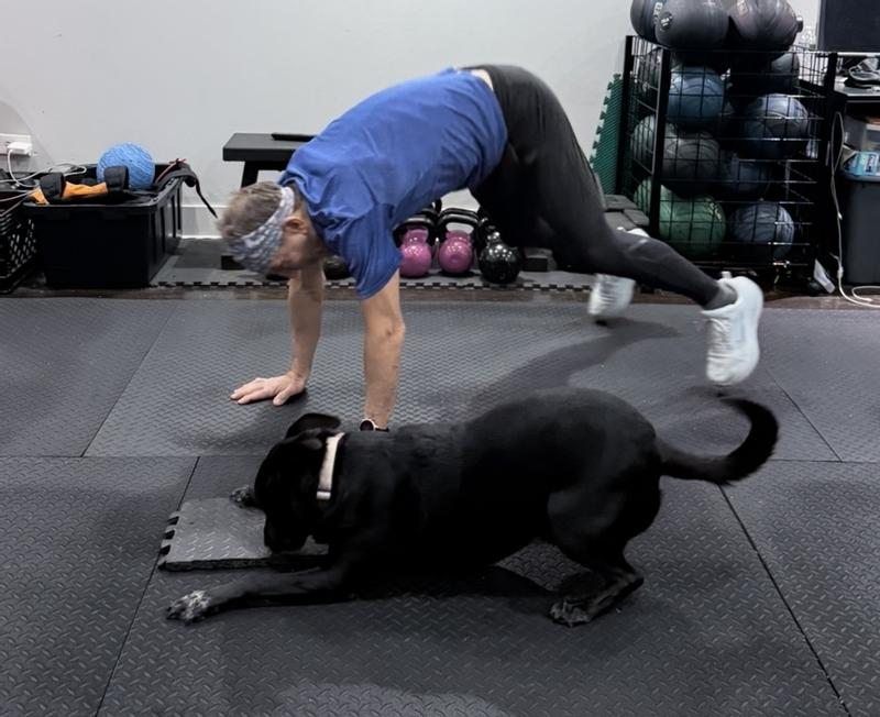 Photo submitted with review of product