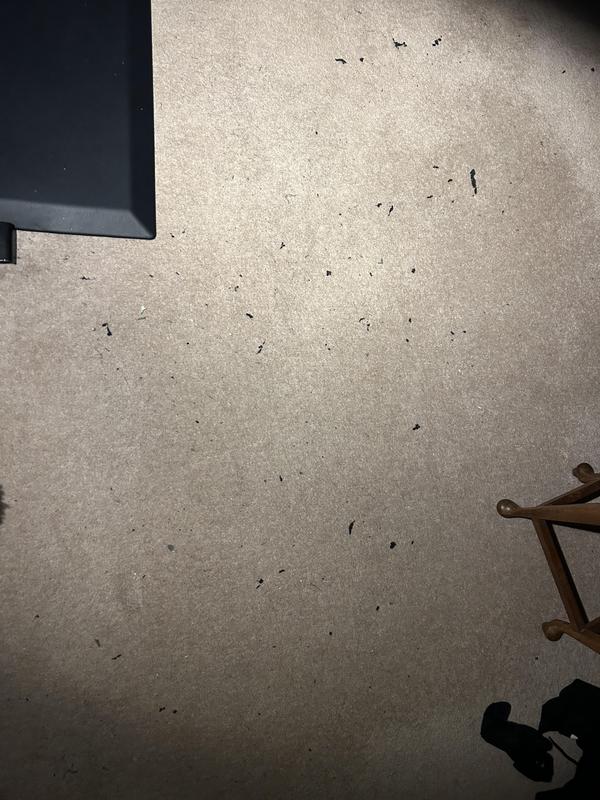 Photo submitted with review of product