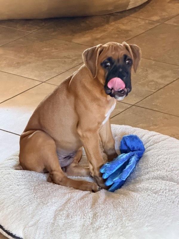 MMMM that was a good breakfast