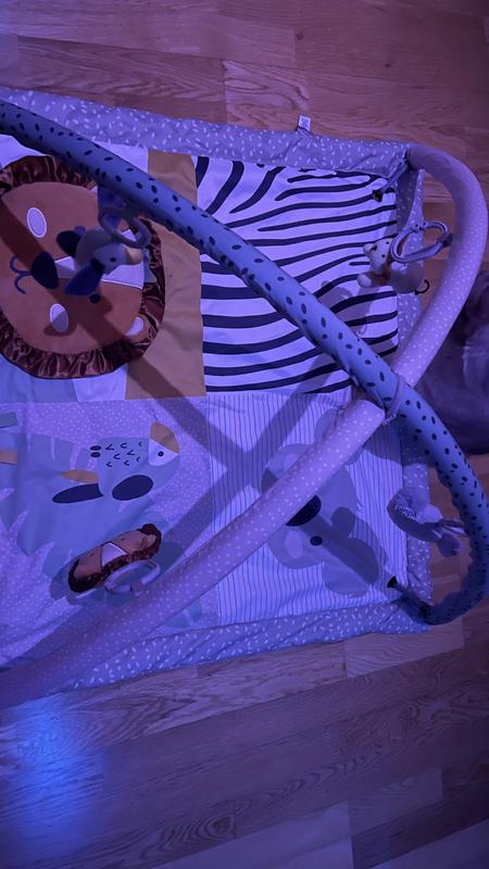 Month Old Nuby Animal Adventures Wooden Play Gym Activity Baby