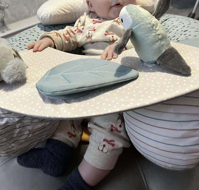 Baby Einstein Aquarium Siège Gonflable Bébé Nuby Animal Adventures | À Partir De 6 Mois | Plateau Amovible Et Jouets Poussette Ultra Compact