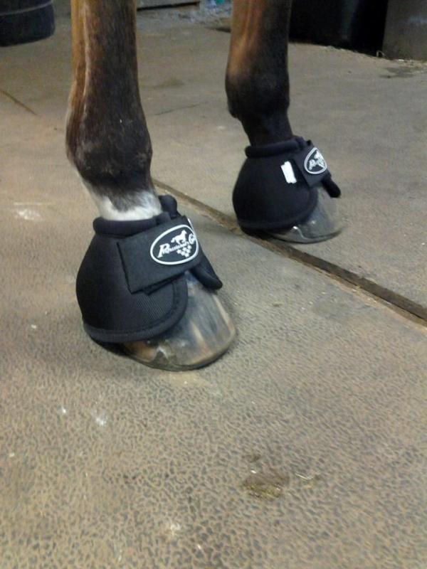 Great new bell boots