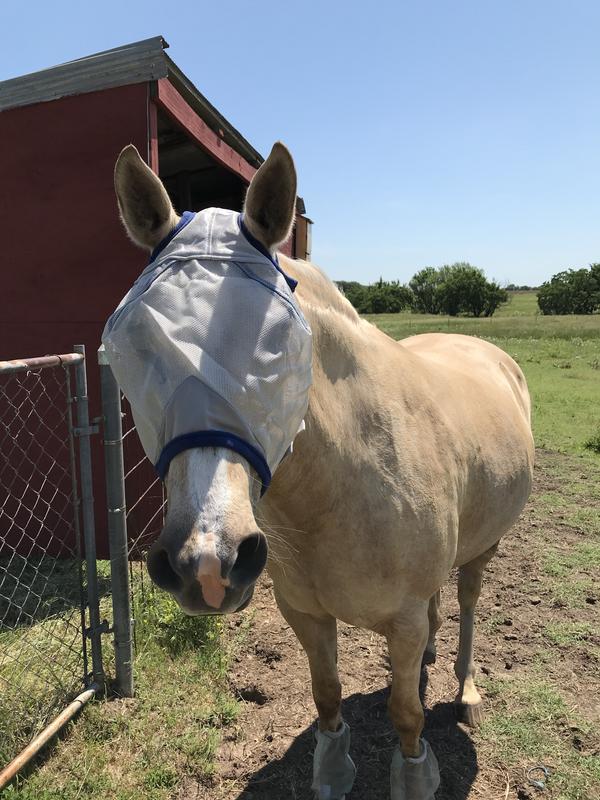Other fly gear helps too! Misty thanks Smart Pack!