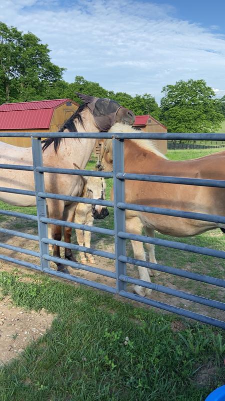 Enjoying being out instead of hiding in the run in!