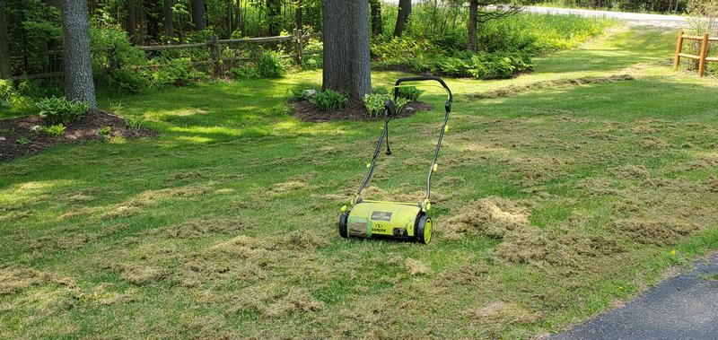 First dethatching and covid mask necessity