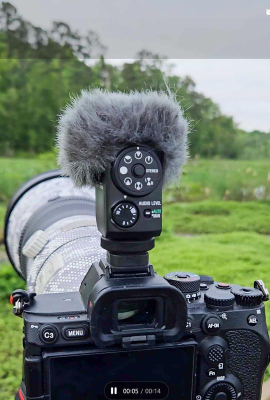 Sony Store Online Singapore | Buy Shotgun Microphone | ECM Sony Store Online Singapore | Buy Shotgun Microphone | ECM
