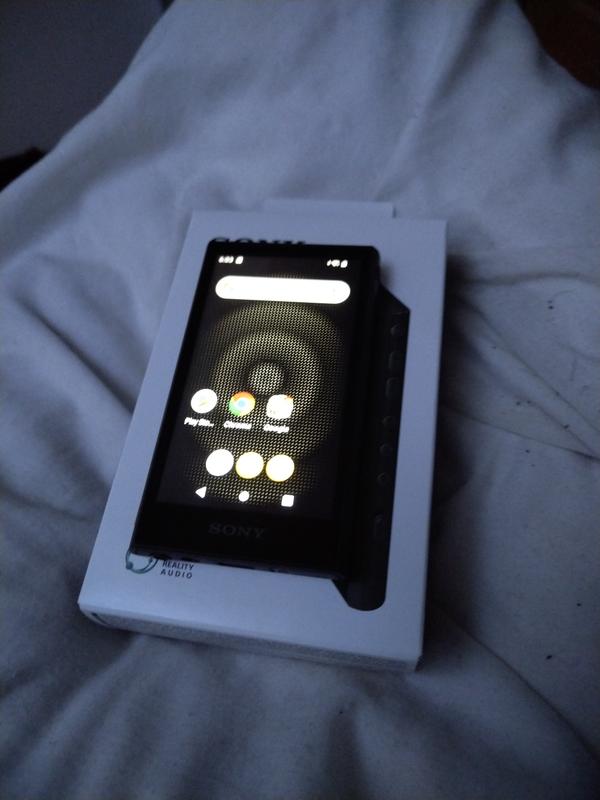 Sony nw-a306　1/7以降 Sony NW-A306 schwarz ab € 328,60 (2026) | heise preisvergleich