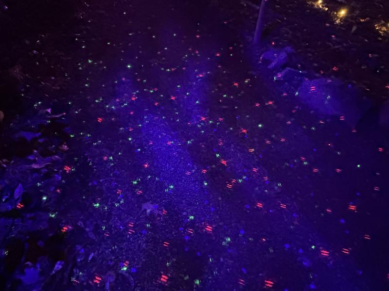 User generated review image 2