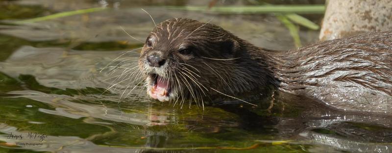 User generated review image 3