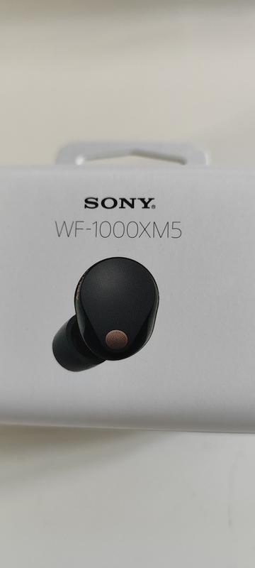 Sony WH-1000XM5 Los mejores auriculares inalámbricos con cancelación de  ruido con optimizador de cancelación automática de ruido, llamadas manos  libres cristalinas y control de voz Alexa, con cargador : Electrónica 