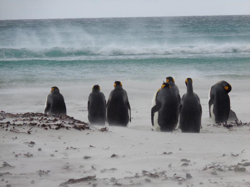 User generated review image 2