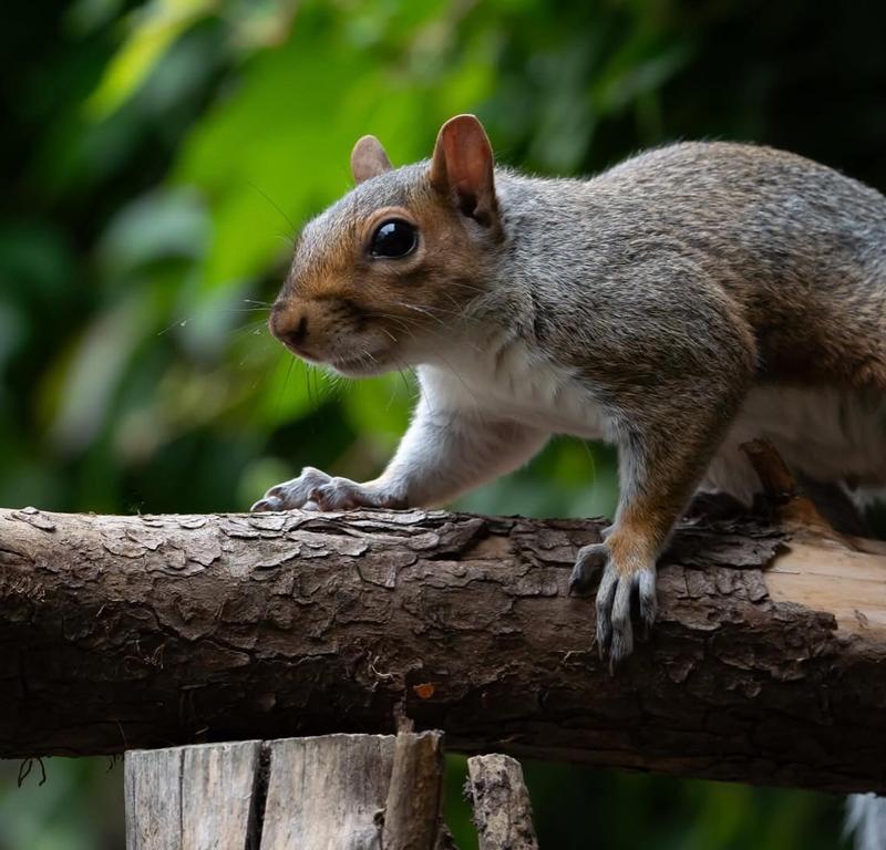 User generated review image 2