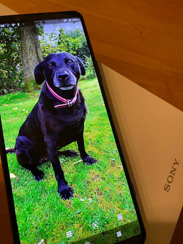 Xperia 5 Ii 6 1 Compact Android Smartphone Sony Us