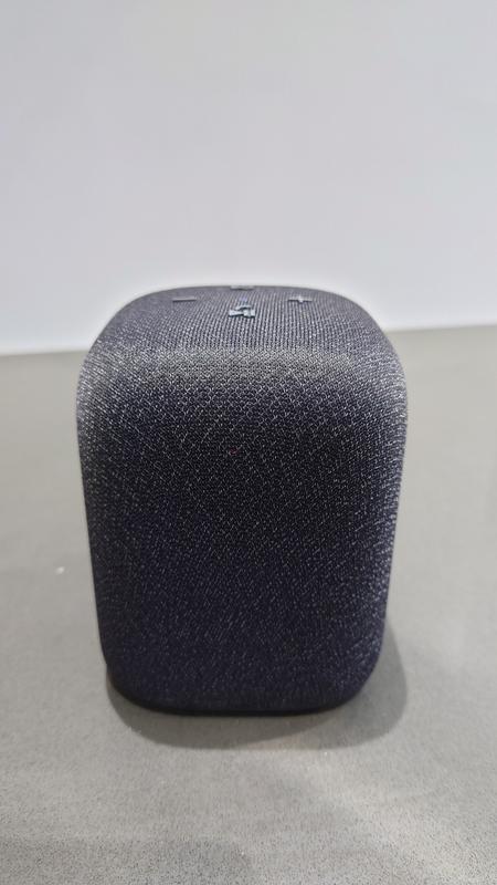 LinkBuds Speaker | Portable Speaker | Wireless Speakers
