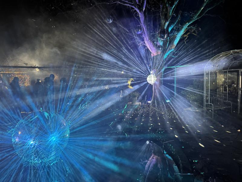 User generated review image 1