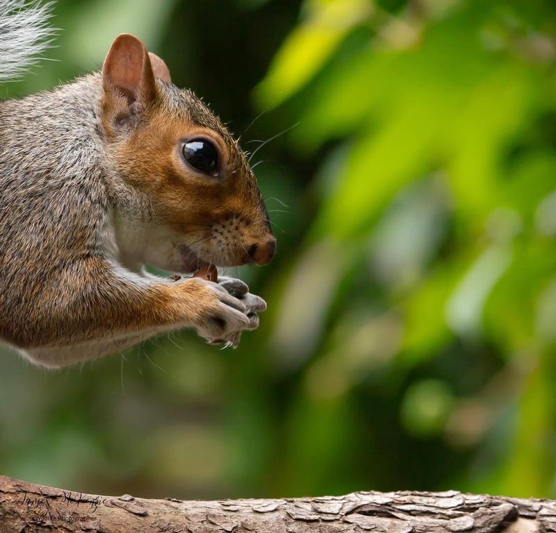 User generated review image 1