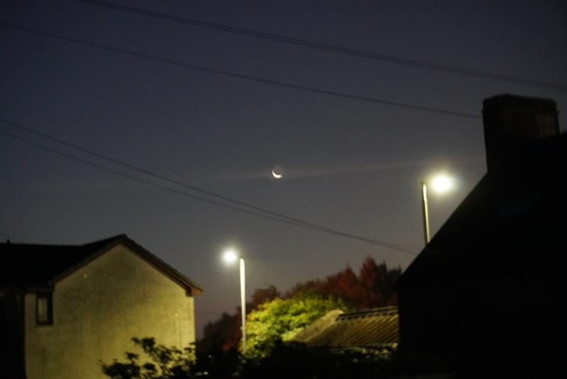 User generated review image 1