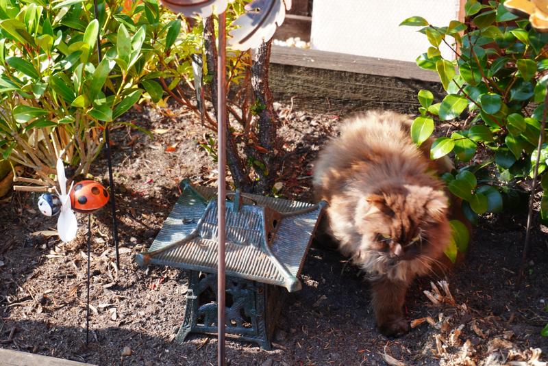 User generated review image 2