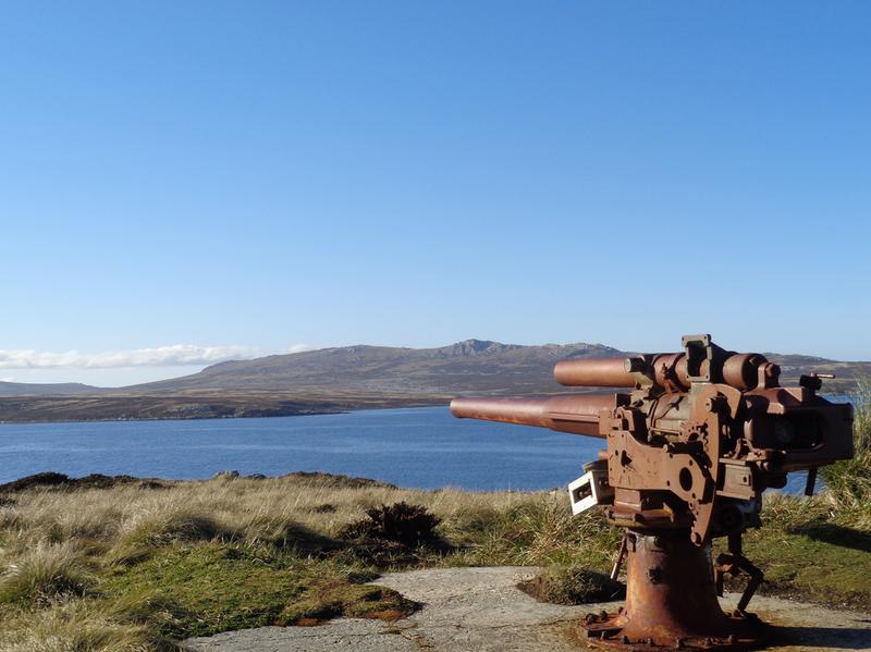 User generated review image 3