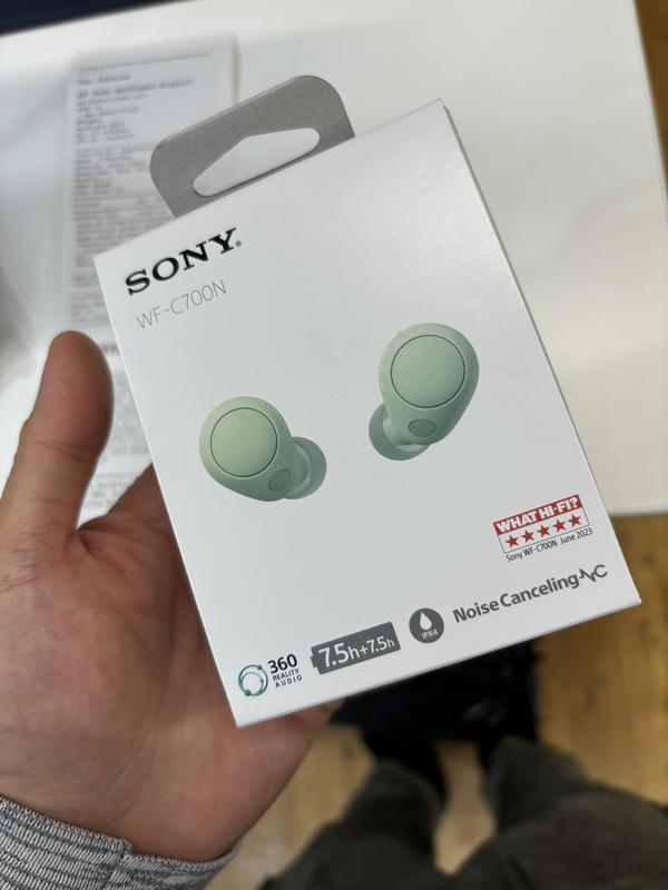 WF-C700N Wireless Noise Cancelling Headphones (Sage Green)