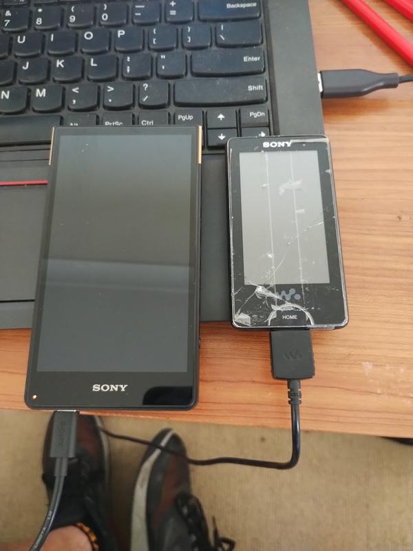 ZX700 Walkman ZX Series