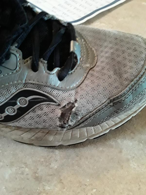 Photo submitted with review of product