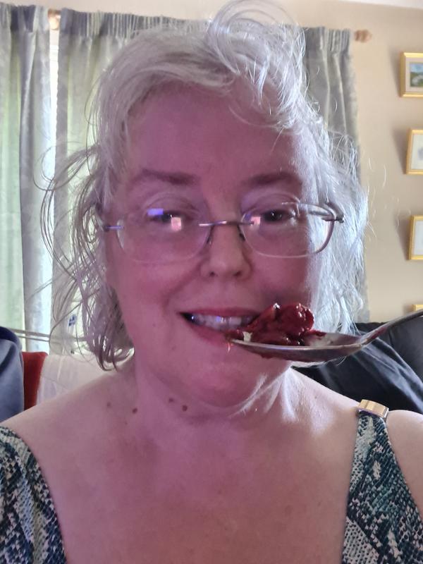 My sorbet made with 4 Berry frozen medley