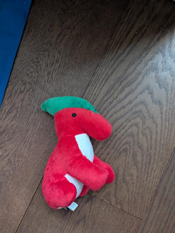 New dog toy