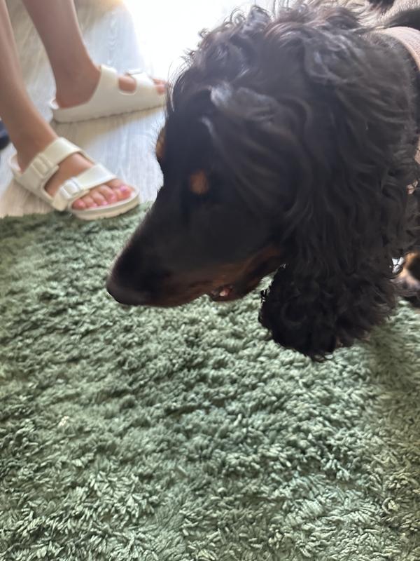 Good Girl here’s your treat
